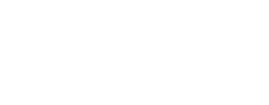 Handy Tim Tool Man