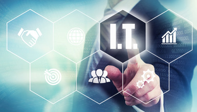 IT Consulting